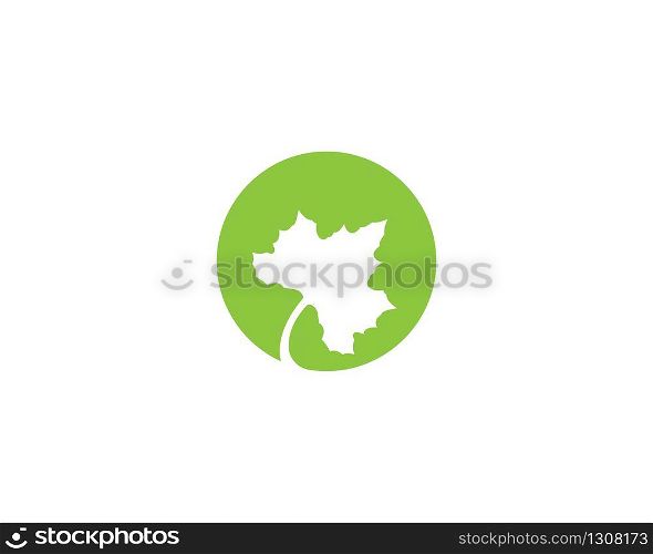Maple leaf vector icon illustration