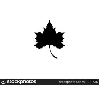 Maple leaf vector icon illustration design