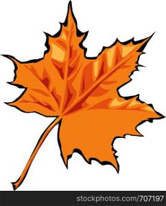 Maple leaf vector icon vector illustration. Canada vector symbol maple leaf