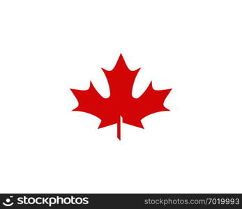 Maple leaf vector illustration design Logo template