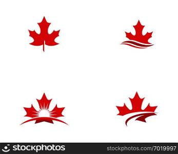 Maple leaf vector illustration design Logo template