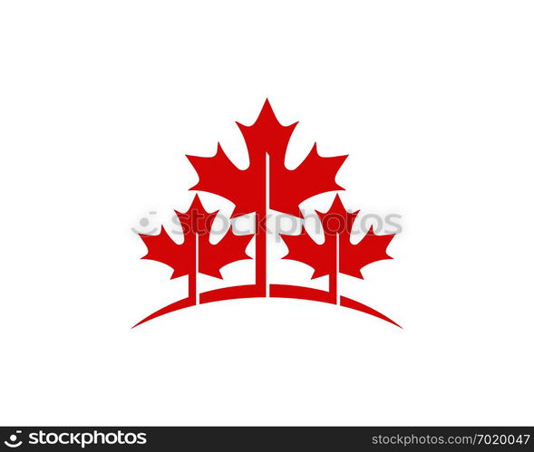 Maple leaf vector illustration design Logo template