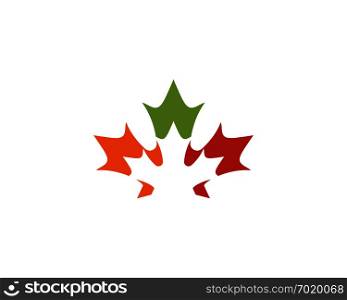 Maple leaf vector illustration design Logo template