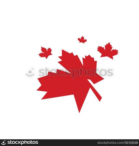 Maple leaf vector illustration design template