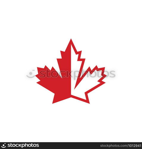 Maple leaf vector illustration design template