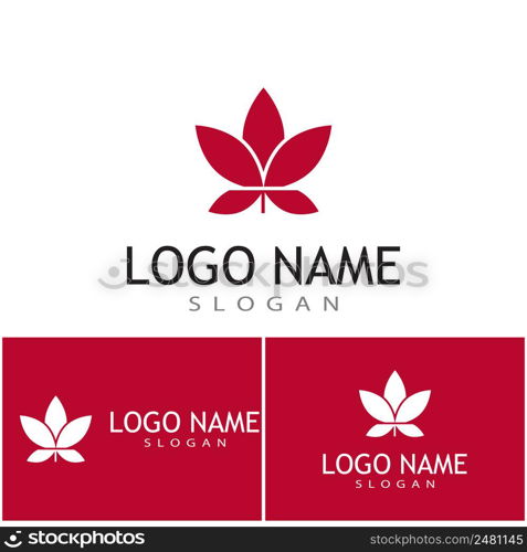 Maple leaf vector illustration design template