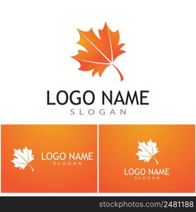 Maple leaf vector illustration design template