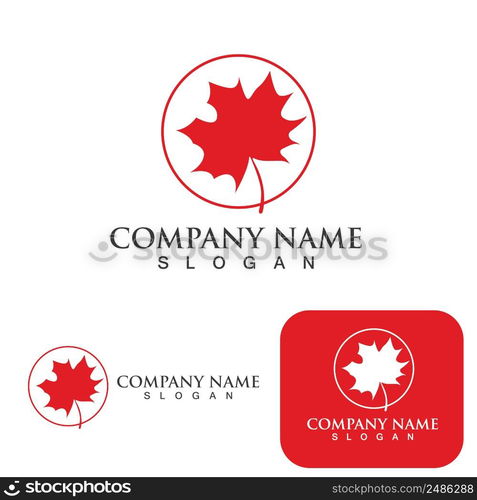 Maple leaf vector illustration design template