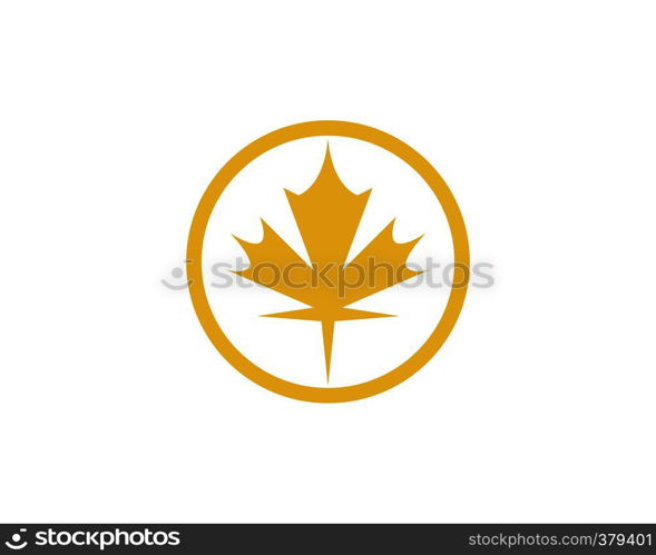 Maple leaf vector illustration design template