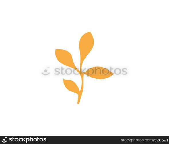 Maple leaf vector illustration design template