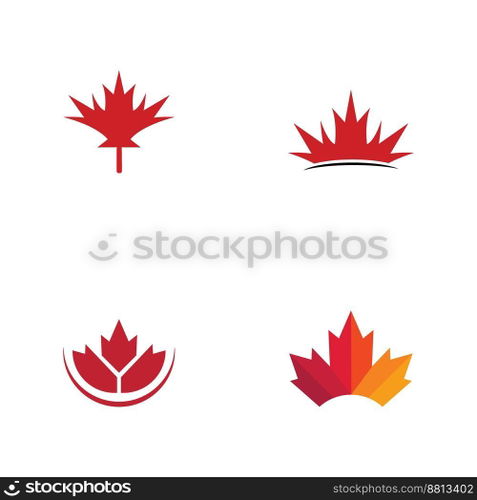 Maple leaf vector illustration design template