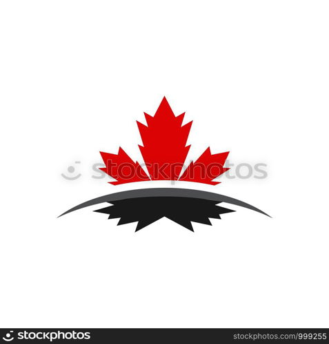 Maple leaf vector illustration design template