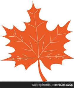 Maple Leaf vector illustration on the white