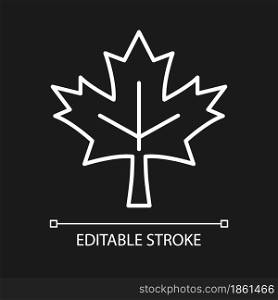 Maple leaf white linear icon for dark theme. Central element of canadian national flag. Thin line customizable illustration. Isolated vector contour symbol for night mode. Editable stroke. Maple leaf white linear icon for dark theme