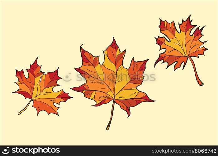Maple leaves red, pop art retro vector illustration. Seasons nature, autumn