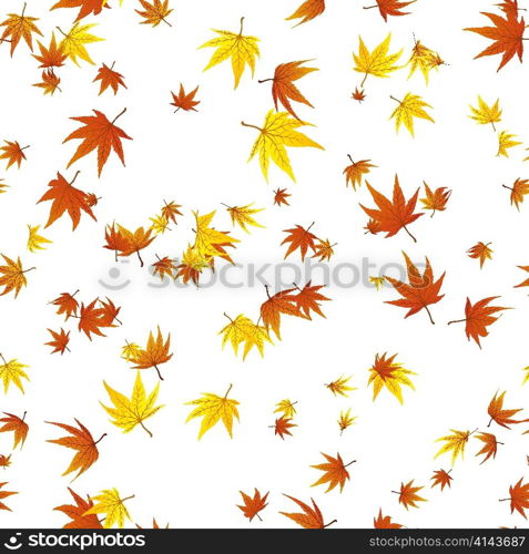 Maple seamless foliage. For easy making seamless pattern just drag all group into swatches bar, and use it for filling any contours.