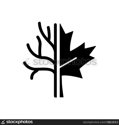 Maple tree black glyph icon. Official canadian arboreal emblem. Species of trees and bushes growing in Canada. Maple leaflet symbol. Silhouette symbol on white space. Vector isolated illustration. Maple tree black glyph icon