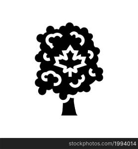 maple tree glyph icon vector. maple tree sign. isolated contour symbol black illustration. maple tree glyph icon vector illustration