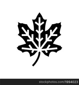 maple tree leaf glyph icon vector. maple tree leaf sign. isolated contour symbol black illustration. maple tree leaf glyph icon vector illustration