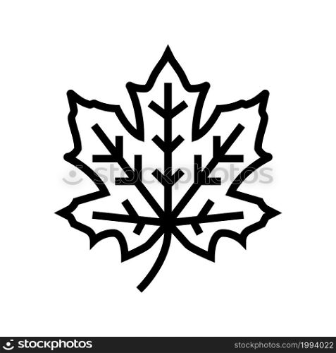 maple tree leaf line icon vector. maple tree leaf sign. isolated contour symbol black illustration. maple tree leaf line icon vector illustration