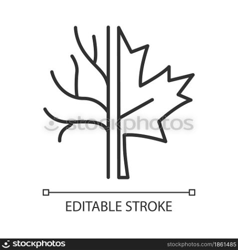 Maple tree linear icon. Official canadian emblem. Species of trees in Canada. Maple leaf symbol. Thin line customizable illustration. Contour symbol. Vector isolated outline drawing. Editable stroke. Maple tree linear icon