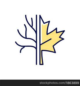 Maple tree RGB color icon. Official canadian arboreal emblem. Species of trees and bushes growing in Canada. Maple leaflet symbol. Isolated vector illustration. Simple filled line drawing. Maple tree RGB color icon