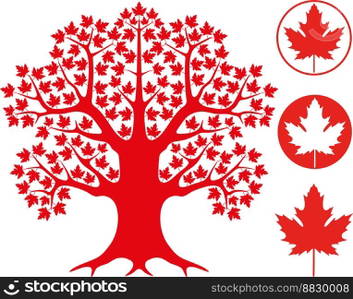 Maple tree vector image