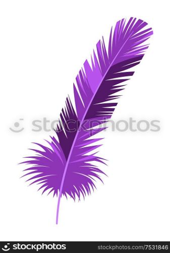 Mardi Gras carnival violet feather. Illustration for traditional holiday or festival.. Mardi Gras carnival violet feather.