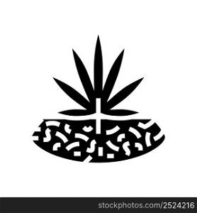 marijuana drug plant glyph icon vector. marijuana drug plant sign. isolated contour symbol black illustration. marijuana drug plant glyph icon vector illustration