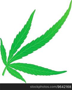 Marijuana leaf green hemp cannabis sativa Vector Image