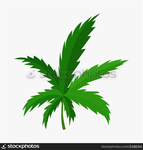 Marijuana leaf icon in cartoon style on a white background. Marijuana leaf icon, cartoon style