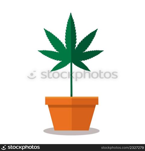 Marijuana leaf symbol, marijuana or hemp icon