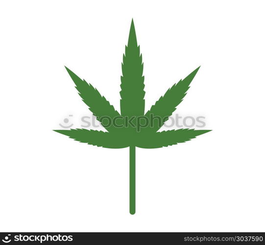 marijuana plant