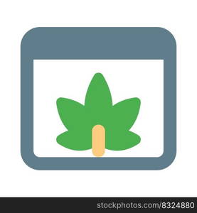 Marijuana related information available on web article