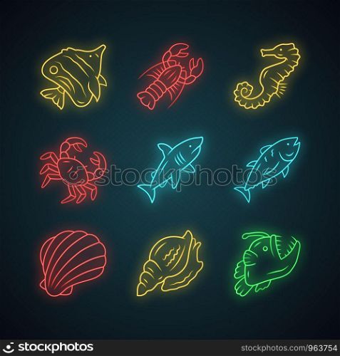 Marine animals neon light icons set. Swimming shark, anglerfish, butterflyfish. Underwater creature. Aquatic organism. Seafood restaurant. Lobster, tuna. Glowing signs. Vector isolated illustrations