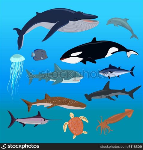 Marine fauna set of aquatic animals. Fauna animal, aquatic fauna, ocean or sea nature fauna, fish wildlife fauna, underwater fauna, aquarium exotic life fauna, dolphin water wild fauna illustration