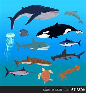 Marine fauna set of aquatic animals. Fauna animal, aquatic fauna, ocean or sea nature fauna, fish wildlife fauna, underwater fauna, aquarium exotic life fauna, dolphin water wild fauna illustration