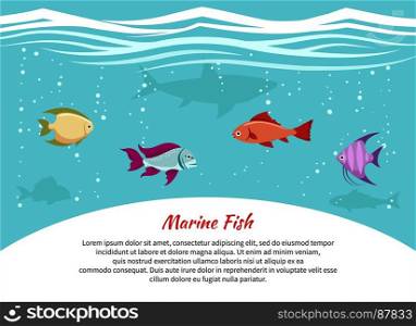 Marine fish poster. Marine fish poster. Underwater world background with place for text. Vector illustration.