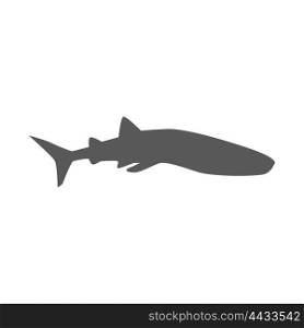 Marine Predator Shark Design Flat. Marine predator shark design flat. Dangerous predator shark with fins and tail and sharp teeth. Aggressive fish tiger shark in black color living in the ocean or the sea. Vector illustration