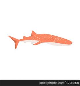 Marine Predator Shark Design Flat. Marine predator shark design flat. Dangerous predator shark with fins and tail and sharp teeth. Aggressive fish tiger shark in orange color living in the ocean or the sea. Vector illustration