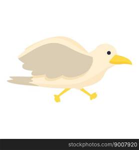 Marine sea bird icon cartoon vector. Seabird fly. Cute animation. Marine sea bird icon cartoon vector. Seabird fly
