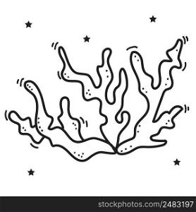 Marine underwater plant - coral. Vector. Decorative picture on a white background. Line, sketch, outline