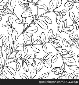 marjoram seamless pattern. marjoram plant seamless pattern on white background