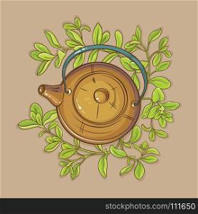 marjoram tea in teapot. marjoram tea in teapot on color background