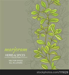 marjoram vector background. marjoram leaves vector pattern on color background