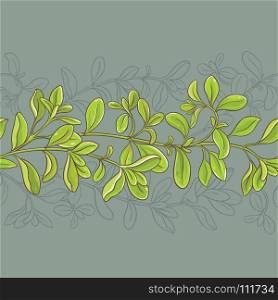 marjoram vector pattern. marjoram leaves vector pattern on color background