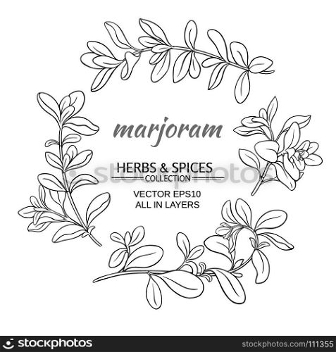 marjoram vector set. marjoram herb vector set on white background