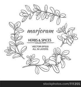 marjoram vector set. marjoram herb vector set on white background