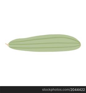 Marrow vegetable. Zucchini isolated. Simple style. Ingredient for cooking. Vector illustration. Marrow vegetable. Zucchini isolated.