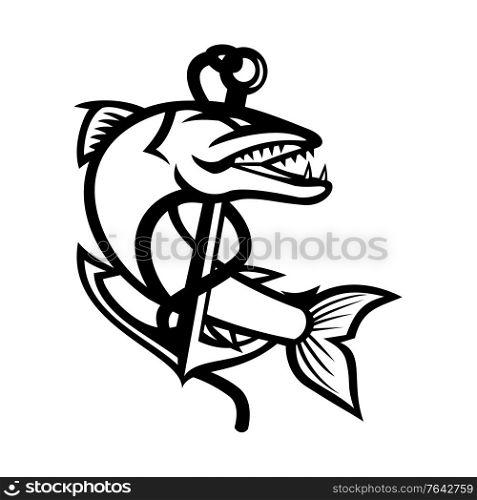 Mascot black and white illustration of great barracuda, a saltwater fish that is snake-like with fearsome appearance and ferocious behavior coiling up sea claw anchor on isolated background in retro style.. Barracuda Coiling Up With Rope and Sea Claw Anchor Mascot Black and White